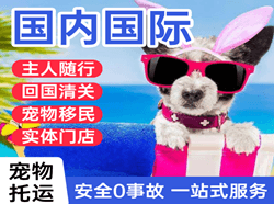 莫高机场物流国际宠物托运 【国